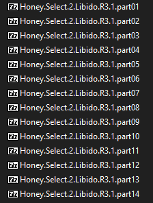 honey select english instructions